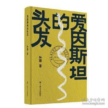 爱因斯坦的头发（孙颙奇思小说系列 —太史公笔法书写奇人奇事：一枚神秘邮票的寻觅之旅，一场战火之下的死里逃生）