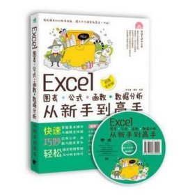 Excel图表.公式.函数.数据分析从新手到高手（超值全彩版）