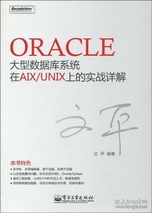 Oracle大型数据库系统在AIX/UNIX上的实战详解