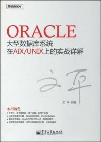 Oracle大型数据库系统在AIX/UNIX上的实战详解