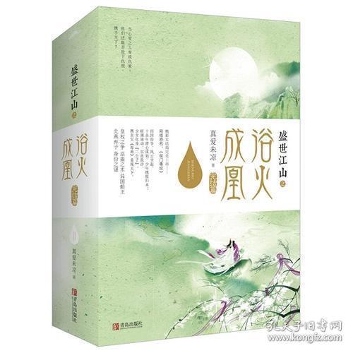 盛世江山之浴火成凰：完结篇（上中下）