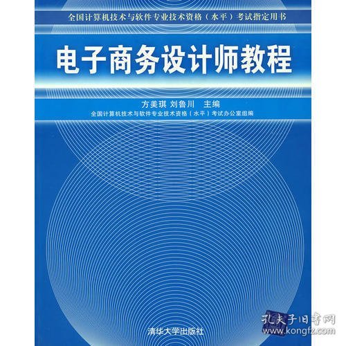 全国计算机技术与软件专业技术资格水平考试指定用书：电子商务设计师教程