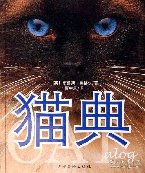 猫典