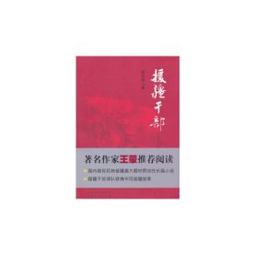 援疆干部（王蒙推荐阅读、国内首部讲述的援疆故事，描绘了新疆壮美的风光、浓郁的民族风情和丰富的历史文化）