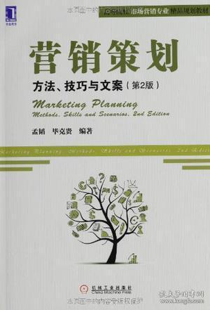 营销策划：营销策划:方法、技巧与文案