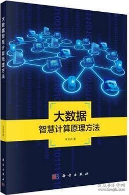 地理信息系统理论与应用丛书：大数据智慧计算原理方法