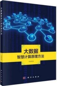 地理信息系统理论与应用丛书：大数据智慧计算原理方法