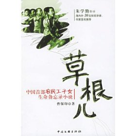 草根儿:中国首部农民工子女生命备忘录小说