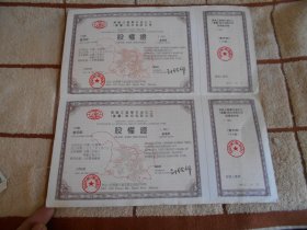 黑龙江龙华石油化工股份有限公司 股权证 500股