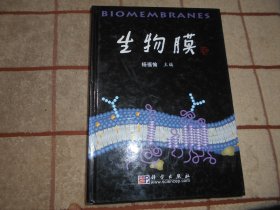 生物膜