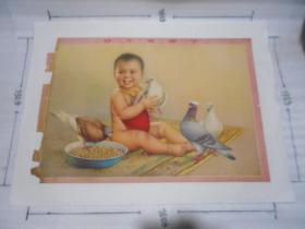 60年代宣传画 著名画家金梅生作品  孩子爱鸽子