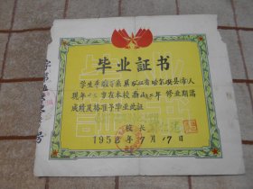 1958年哈尔滨市朝鲜族中心小学毕业证书