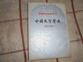 中国文字学史  下