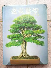 盆栽藝術(shù)