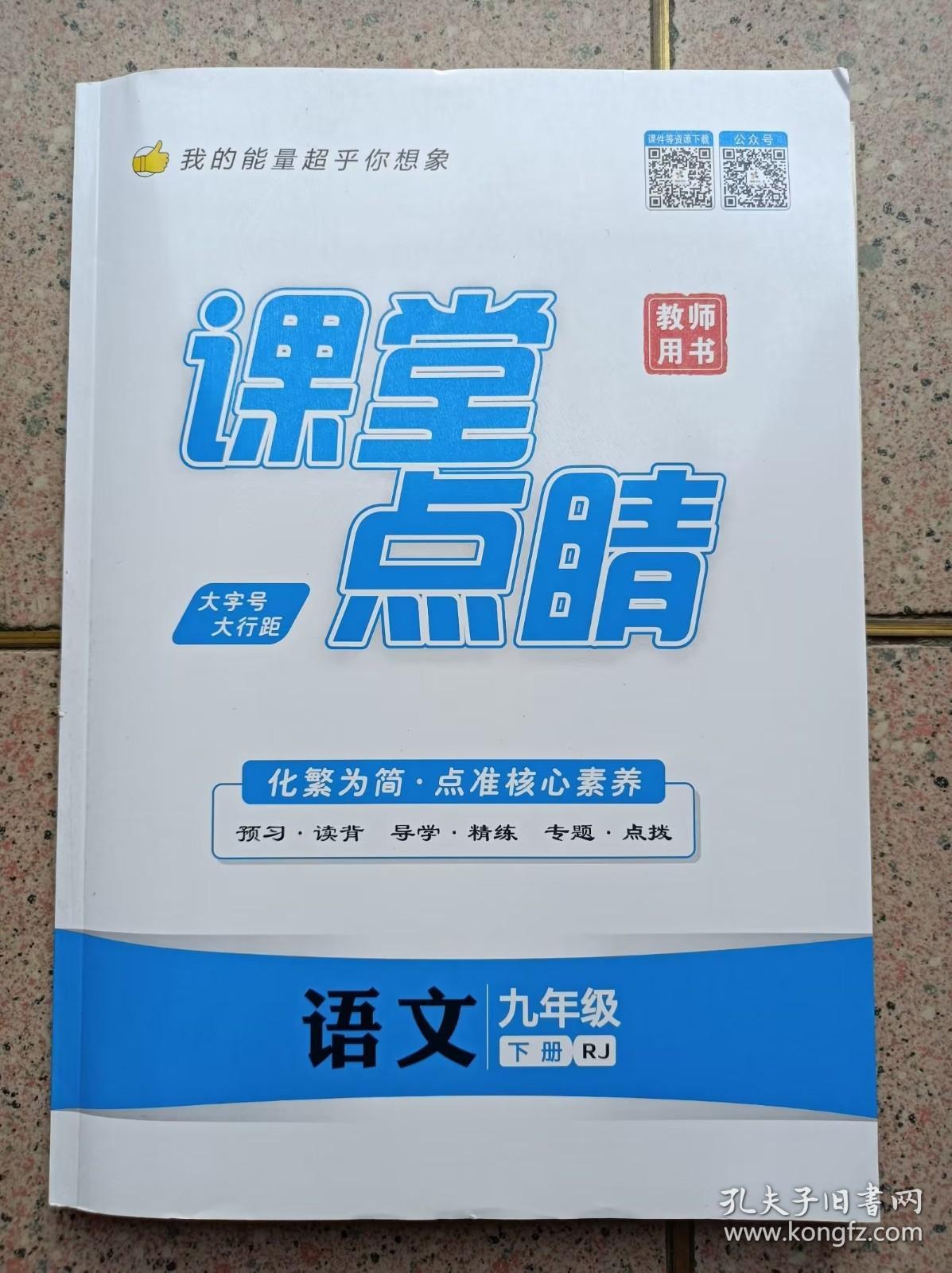 课堂点睛《语文》 9年级 下册