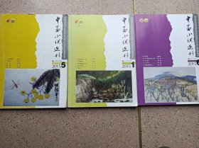 中篇小说选刊