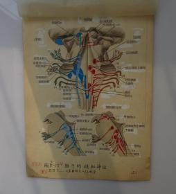 毕华德（1891年6月13日-1966年12月31日）北京市朝阳区人，眼科学家、医学教育家、中国现代眼科学的主要奠基人。 毕华德先生主编的《眼科全书》资料手稿一大摞  内有傅连璋1964年毛笔题词一大张，民国医学手绘图好几十幅，1956年中华医学会第十届全国会员代表大会眼科学会合影、清太医院洗眼器具、眼病殷墟甲骨文等老照片 注：其中大部分图是毕华德先生亲自绘制  有补图   45—D层