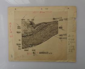 毕华德（1891年6月13日-1966年12月31日）北京市朝阳区人，眼科学家、医学教育家、中国现代眼科学的主要奠基人。 毕华德先生主编的《眼科全书》资料手稿一大摞  内有傅连璋1964年毛笔题词一大张，民国医学手绘图好几十幅，1956年中华医学会第十届全国会员代表大会眼科学会合影、清太医院洗眼器具、眼病殷墟甲骨文等老照片 注：其中大部分图是毕华德先生亲自绘制  有补图   45—D层