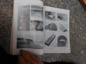 杂志;文物1986年第8期总第363期;辽宁牛河梁红山文化“女神庙”与积石冢群发掘简报