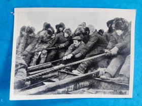 新华社老照片——中国工人阶级的硬骨头铁人王进喜，在大会战时与工人们一起安装钻机