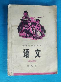 云南省小学课本 语文第八册 1973年6月 一版一印