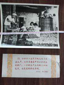 山東省唐縣尹集公社辦起土化肥廠一年生產土化肥24億斤——新華社新聞展覽照片、全都帶說明《人民公社光芒萬丈》之13