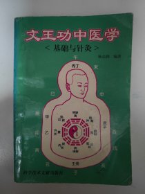 文王功中医学（基础与针灸）