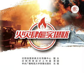 火灾肆虐实堪忧—实施“专项整治三年行动计划”警示录（三）2DVD