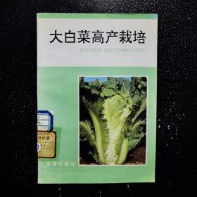 大白菜高产栽培