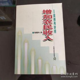 增加农民收入:实例与分析