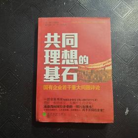 共同理想的基石：国有企业若干重大问题评论