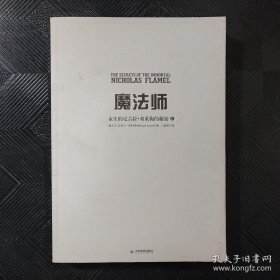 魔法师：永生的尼古拉·弗莱梅的秘密2