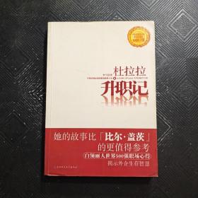 杜拉拉升职记