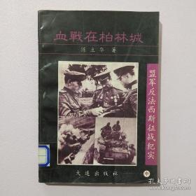 盟军反法西斯征战纪实 中