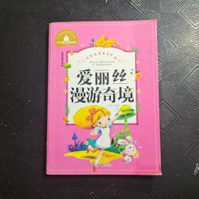 爱丽丝漫游奇境