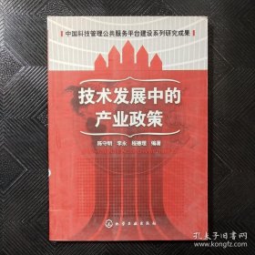 技术发展中的产业政策