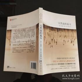 天黑前的夏天：新经典文库348；莱辛作品01