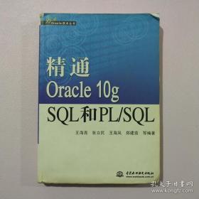 精通Oracle 10g SQL和PL/SQL