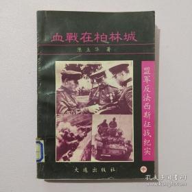 盟军反法西斯征战纪实 中