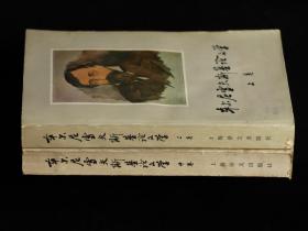 车尔尼雪夫斯基论文学（上中卷）