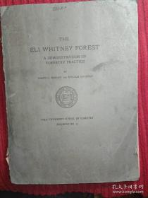 The Eli Whitney Forest : Ademonstration of Forestry Practice