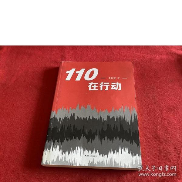 110在行动