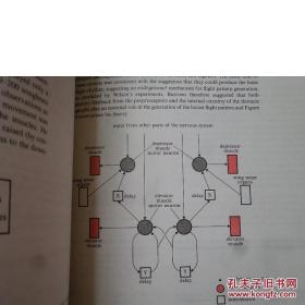 【香港理工大学馆藏】Module B3 Braln spinalcord Module B4 Comparative motor systems(脑脊髓模块)