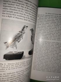 An Introduction to Ornithology 鸟类学入门