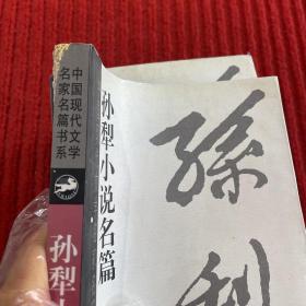 孙犁小说名篇：中国现代文学名家名篇书系