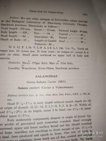 Description of the Fihes collected from the Yangtzeking,,china,by late Dr,K. Kishinonye and his party in 1927-1929