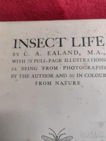 Insect Life (民国私立金陵大学馆藏书.藏书票一枚)=