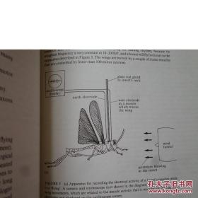 【香港理工大学馆藏】Module B3 Braln spinalcord Module B4 Comparative motor systems(脑脊髓模块)