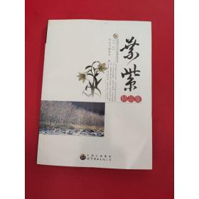 中国现代文学大师精品集丛书-叶紫