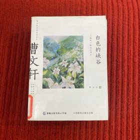 曹文轩经典品读书系 白色的峡谷 《根鸟》精选点评本